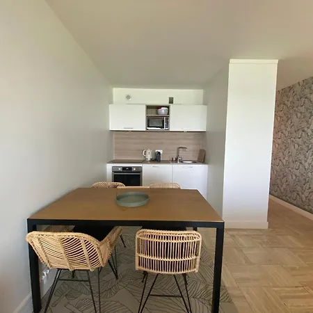 Studio Moderne Avec Vue Ocean, Wifi, Parking A Biarritz - Fr-1-239-1040 Exterior photo
